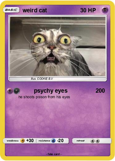 Pokemon weird cat