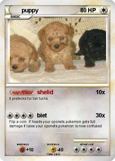 Pokemon puppy