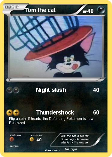 Pokemon Tom the cat