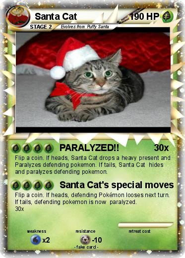 Pokemon Santa Cat