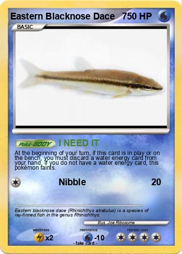 Pokemon Eastern Blacknose Dace   7