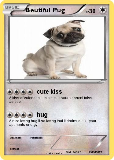 Pokemon Beutiful Pug