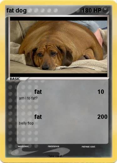 Pokemon fat dog