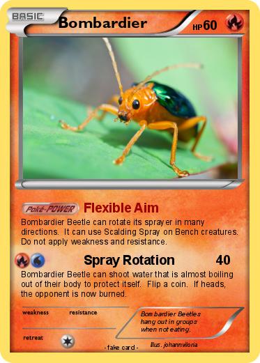 Pokemon Bombardier