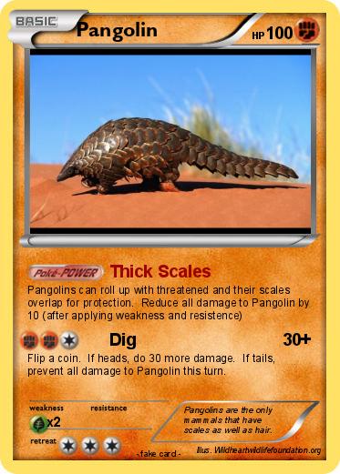 Pokemon Pangolin