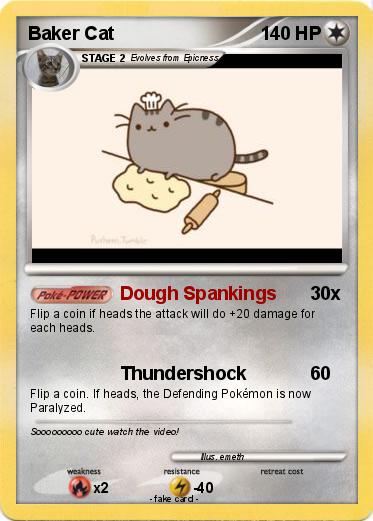 Pokemon Baker Cat