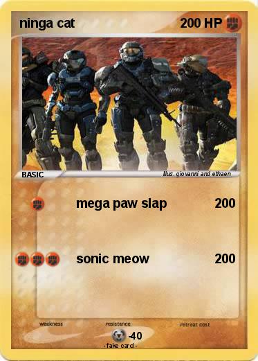 Pokemon ninga cat