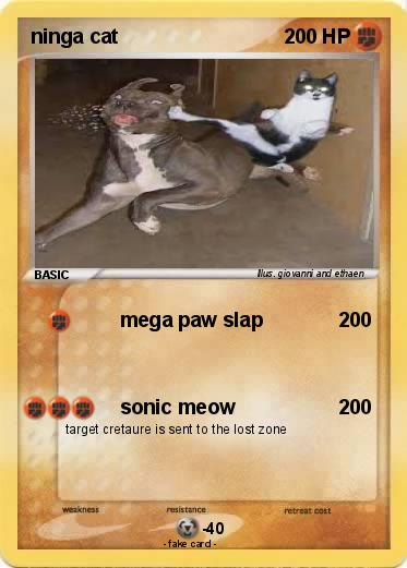 Pokemon ninga cat
