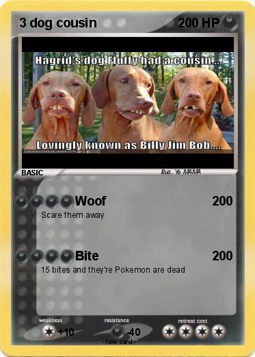 Pokemon 3 dog cousin