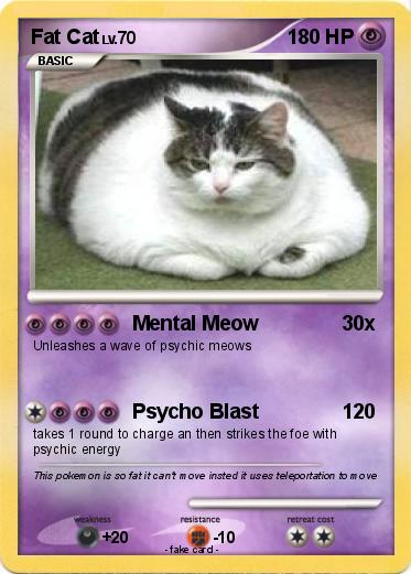 Pokemon Fat Cat