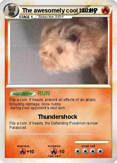 Pokemon The awesomely cooi bubby