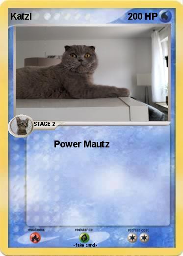 Pokemon Katzi