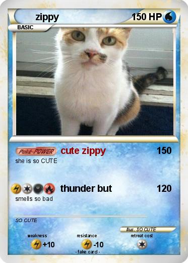 Pokemon zippy