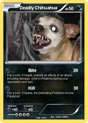 Pokemon Deadly Chihuahua