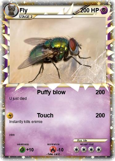 Pokemon Fly