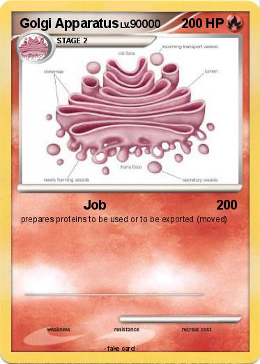 Pokemon Golgi Apparatus