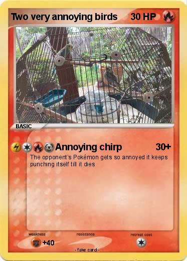 Pokemon Two very annoying birds