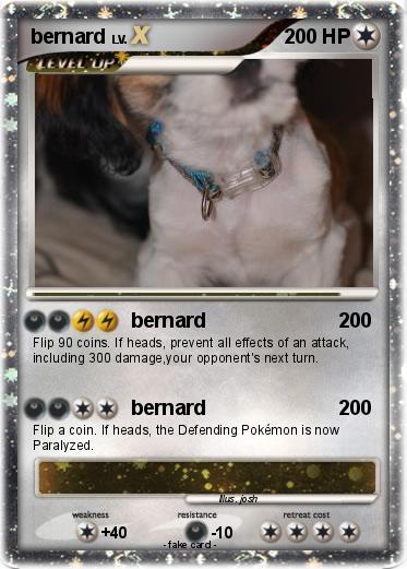 Pokemon bernard