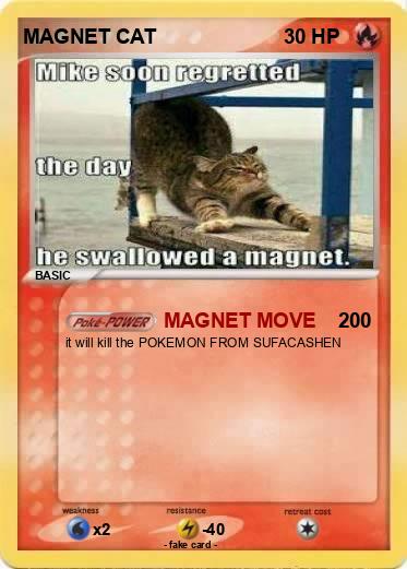 Pokemon MAGNET CAT