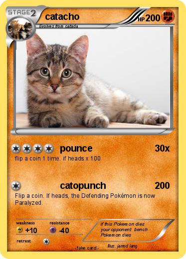 Pokemon catacho