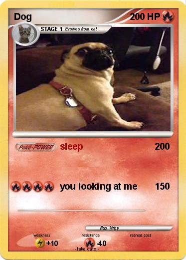 Pokemon Dog