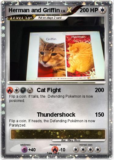 Pokemon Herman and Griffin