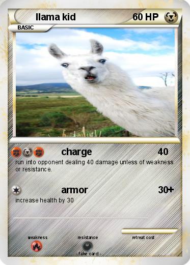 Pokemon llama kid