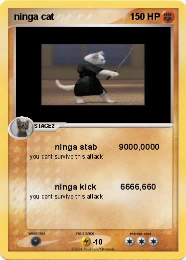 Pokemon ninga cat