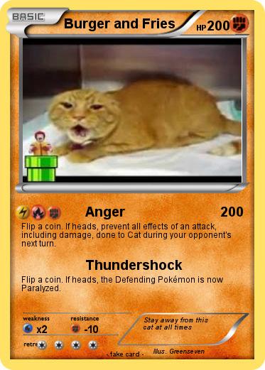 Pokemon Burger and Fries