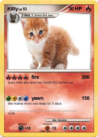 Pokemon Kitty