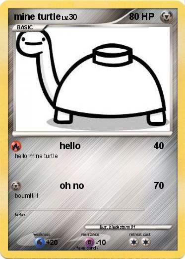 Pokemon mine turtle