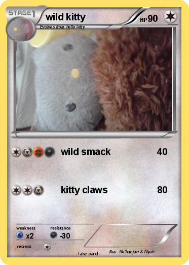 Pokemon wild kitty