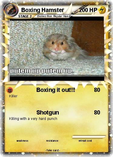 Pokemon Boxing Hamster