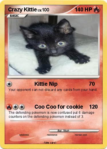 Pokemon Crazy Kittie