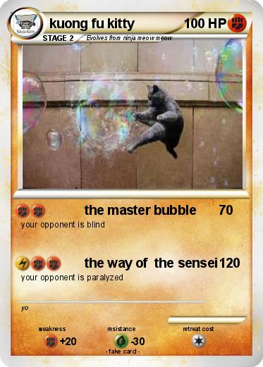 Pokemon kuong fu kitty