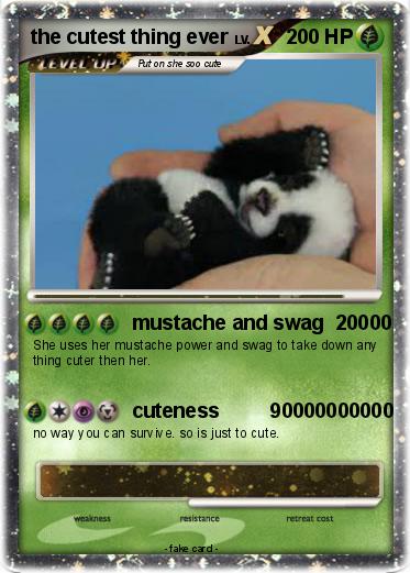 Pokemon the cutest thing ever