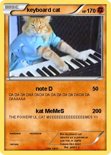 Pokemon keyboard cat