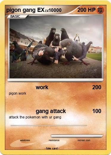 Pokemon pigon gang EX