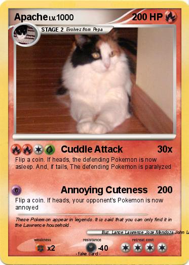 Pokemon Apache