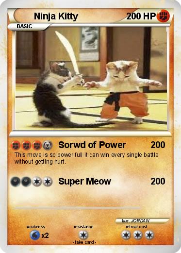 Pokemon Ninja Kitty