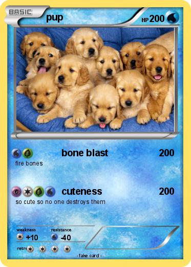 Pokemon pup