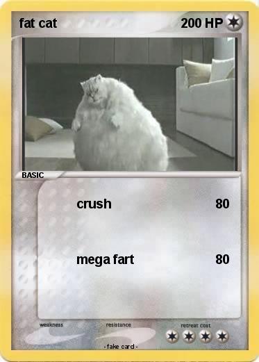 Pokemon fat cat
