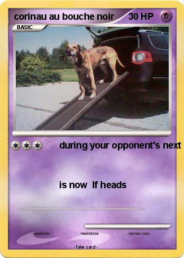 Pokemon corinau au bouche noir