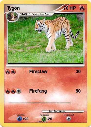 Pokemon Tygon