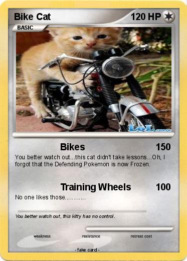 Pokemon Bike Cat
