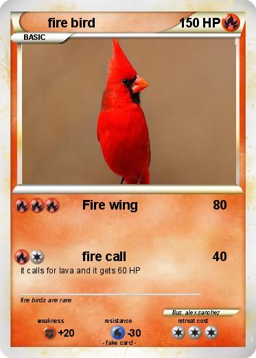 Pokemon fire bird