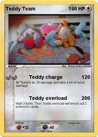 Pokemon Teddy Team