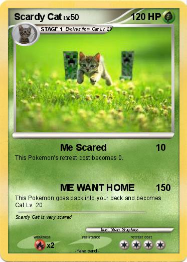 Pokemon Scardy Cat