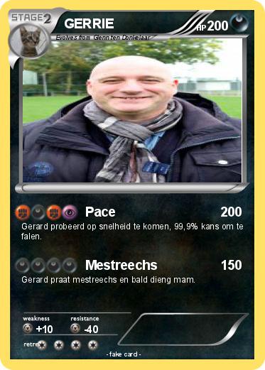 Pokemon GERRIE