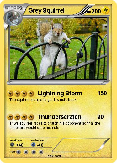 Pokemon Grey Squirrel
